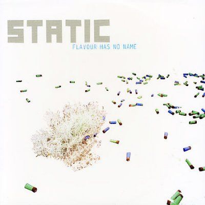 Static - Flavour Has No Name (CD)