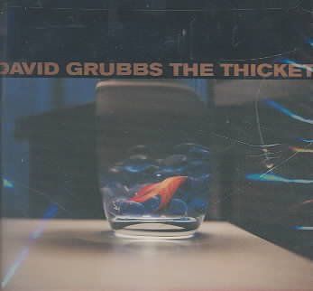 David Grubbs - Thicket (CD)
