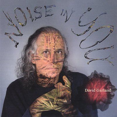 David Garland - Noise In You (CD)