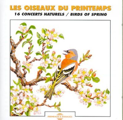 Birds of Springtime (CD / Album)