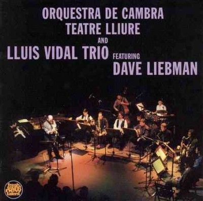 Lluis Vidal Trio - (Import CD)