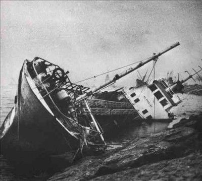 Oiseaux - Tempete - Utopiya (CD)