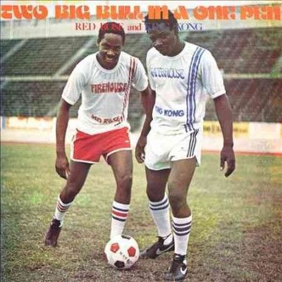 Two Big Bull in a One Pen (CD / Album)