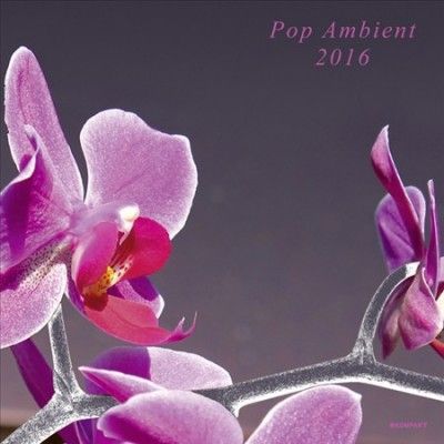 Various - Pop Ambient 2016 (CD)