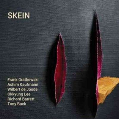 Skein (CD / Album)