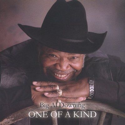 Big Al Downing - One Of A Kind (CD)