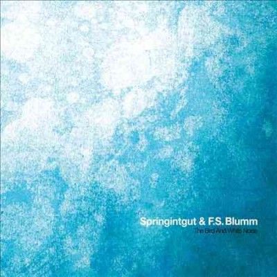 Springintgut - Bird And White Noise (CD)