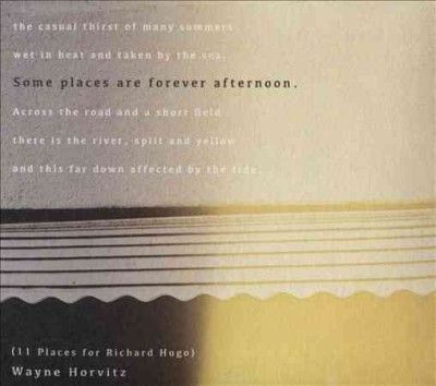 Wayne Horvitz - Some Places Are Forever Afternoon (11 (CD)