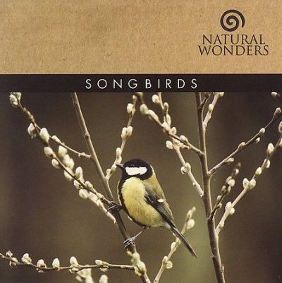 Brian Hardin - Songbirds (CD)