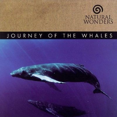 David Arkenstone - Journey Of The Whales (CD)