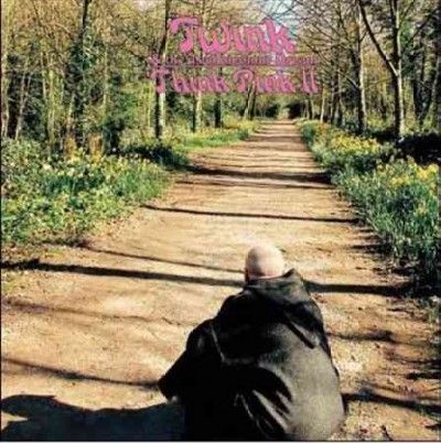 Twink - Think Pink Ii (CD)