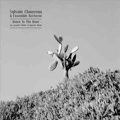 Sylvain Chauveau - Down To The Bone (an Acoustic Tribute (CD)
