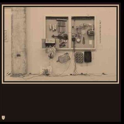 Dav Van Tieghem - Fits &amp; Starts (Vinyl)