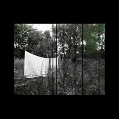 Acoustic - (Import Vinyl Record)