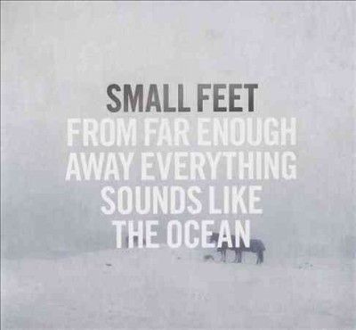 Small Feet - From Far Enough Away Everything Sound (Vinyl)