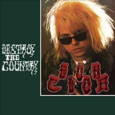 Destroy The Country - (Import Vinyl Record)