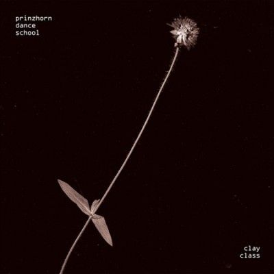 Prinzhorn Dance Scho - Clay Class (Vinyl)