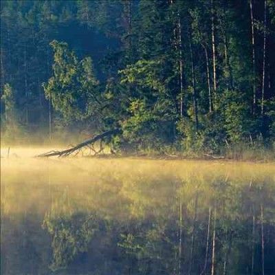 Plenitude - (Import Vinyl Record)