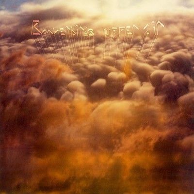 Bowerbirds - Upper Air (Vinyl)
