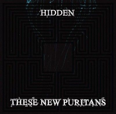 These New Puritans - Hidden (Vinyl)