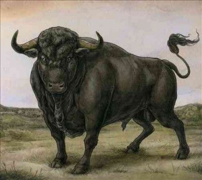 San Fermin - San Fermin (Vinyl)