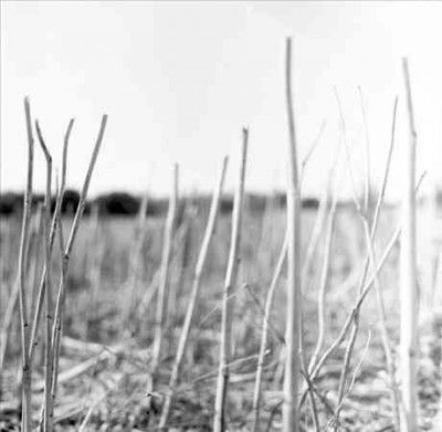 Recondite - On Acid (Vinyl)