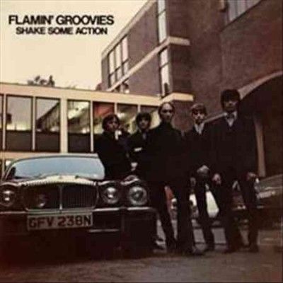 Flamin' Groovies - Shake Some Action (Vinyl)