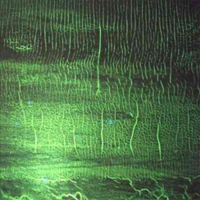 Donato Dozzy - K (Vinyl)