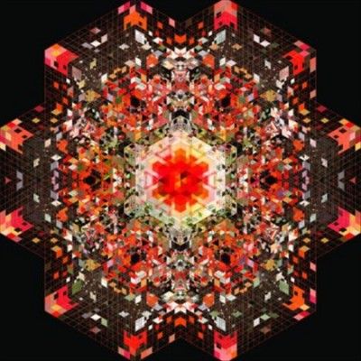 Gold Panda - Half Of Where You Live (Vinyl)