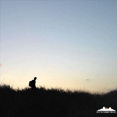 Dusty Kid - Not So Green Fields (Vinyl)