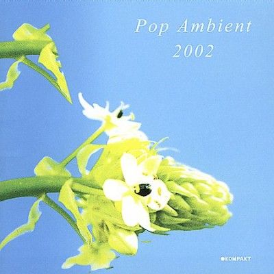 Various - Pop Ambient 2002 (Vinyl)