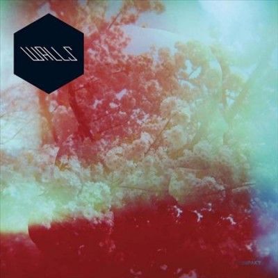 Walls - Walls (Vinyl)