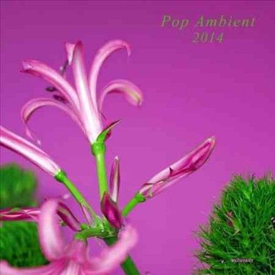 Various - Pop Ambient 2014 (Vinyl)