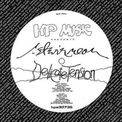 R. Stevie Moore - Delicate Tension (Vinyl)