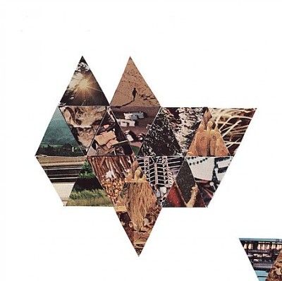 This Will Destroy Yo - Field Studies (Vinyl)