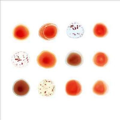 Peter Gabriel - Scratch My Back (Vinyl)
