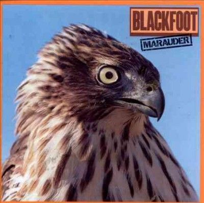 Blackfoot - Marauder (Vinyl)