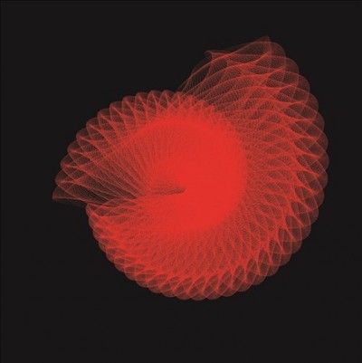 Lamb - Transfatty Acid (Vinyl)