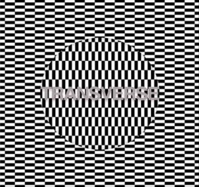 Carter Tutti Void - Transverse (Vinyl)