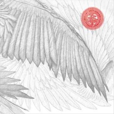 Angels &amp; Devils (Vinyl / 12" Album)