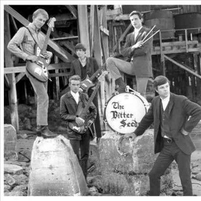 Bitter Seeds - State Of Your Mind (Vinyl)