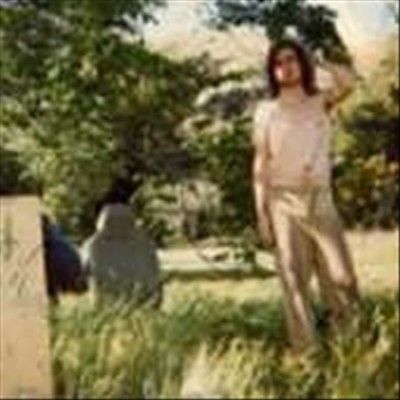 Ariel Pink's Haunted - Doldrums (Vinyl)