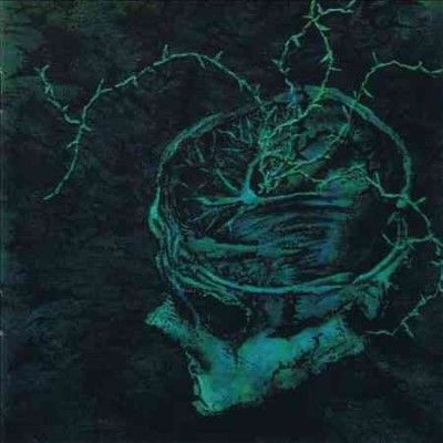 Instinct Decay - (Import Vinyl Record)