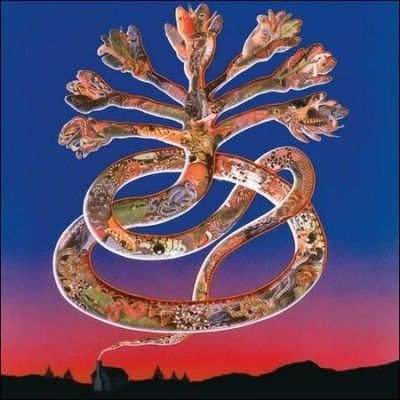 Cyclobe - Wounded Galaxies Tap At The Window (Vinyl)