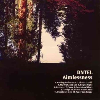 Dntel - Aimlessness (Vinyl)