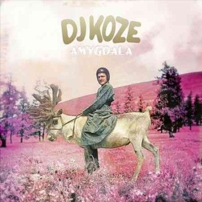 Dj Koze - Amygdala (Vinyl)
