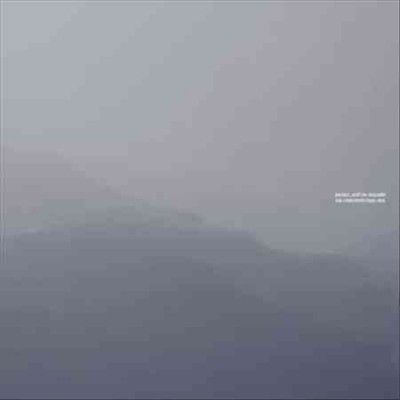 Rafael Ant Irisarri - Unintentional Sea (Vinyl)