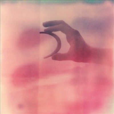 Vestals - Forever Falling Toward The Sky (Vinyl)