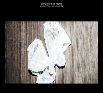Evan Parker - What/if/they Both Could Fly (Vinyl)