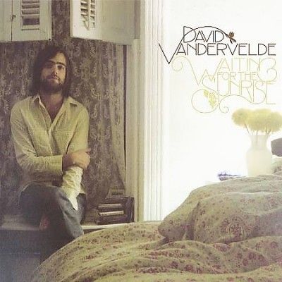 David Vandervelde - Waiting For The Sunrise (Vinyl)